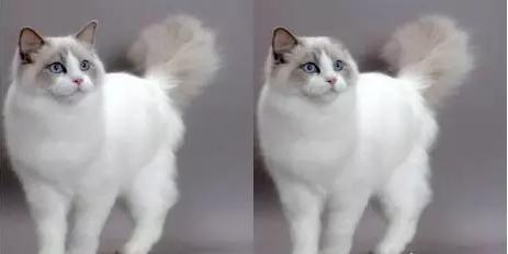 工業(yè)機(jī)器人智能化的秘密武器——機(jī)器視覺(jué)-機(jī)器視覺(jué)_視覺(jué)檢測(cè)設(shè)備_3D視覺(jué)_缺陷檢測(cè)