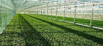 物聯(lián)網(wǎng)環(huán)境監(jiān)測(cè)傳感器設(shè)備的應(yīng)用-機(jī)器視覺_視覺檢測(cè)設(shè)備_3D視覺_缺陷檢測(cè)