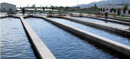 物聯(lián)網(wǎng)環(huán)境監(jiān)測(cè)傳感器設(shè)備的應(yīng)用-機(jī)器視覺_視覺檢測(cè)設(shè)備_3D視覺_缺陷檢測(cè)