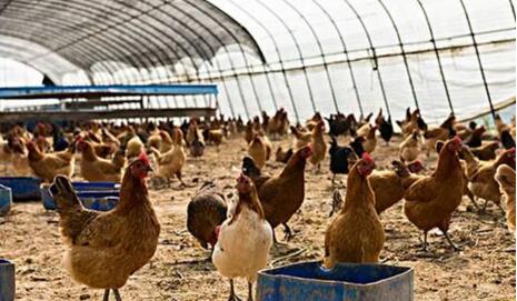 物聯(lián)網(wǎng)環(huán)境監(jiān)測(cè)傳感器設(shè)備的應(yīng)用-機(jī)器視覺_視覺檢測(cè)設(shè)備_3D視覺_缺陷檢測(cè)