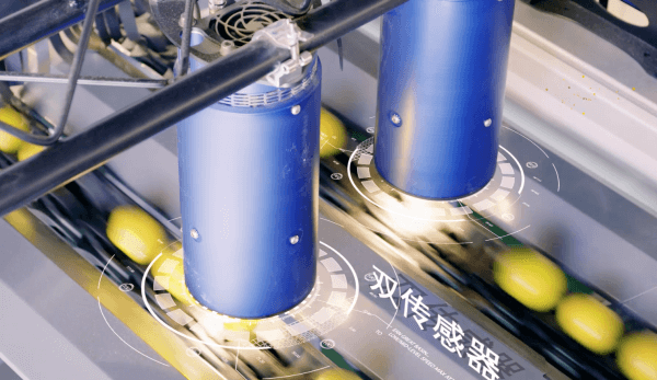 機(jī)器視覺技術(shù)與農(nóng)業(yè)自動化-機(jī)器視覺_視覺檢測設(shè)備_3D視覺_缺陷檢測