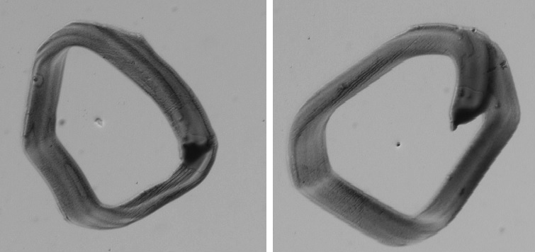 曲面屏表面瑕疵檢測，曲面屏外觀缺陷視覺檢測系統(tǒng)-機(jī)器視覺_視覺檢測設(shè)備_3D視覺_缺陷檢測