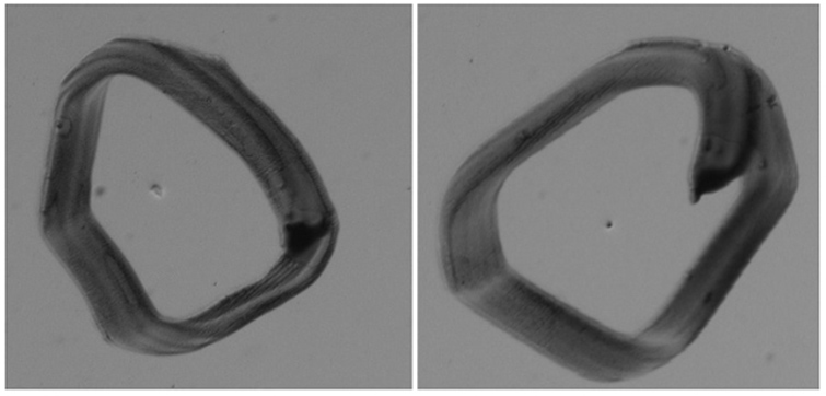 曲面屏表面瑕疵檢測，曲面屏外觀缺陷視覺檢測系統(tǒng)-機(jī)器視覺_視覺檢測設(shè)備_3D視覺_缺陷檢測