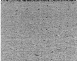 機(jī)器視覺滾動(dòng)軸承表面缺陷檢測(cè)應(yīng)用分析-機(jī)器視覺_視覺檢測(cè)設(shè)備_3D視覺_缺陷檢測(cè)