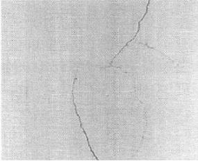 機(jī)器視覺滾動(dòng)軸承表面缺陷檢測(cè)應(yīng)用分析-機(jī)器視覺_視覺檢測(cè)設(shè)備_3D視覺_缺陷檢測(cè)