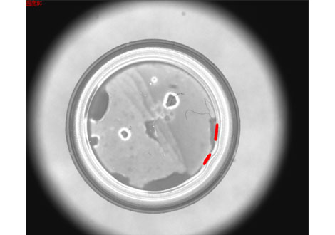 醫(yī)藥行業(yè)機器視覺檢測設(shè)備系統(tǒng)方案-機器視覺_視覺檢測設(shè)備_3D視覺_缺陷檢測