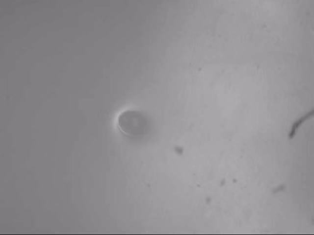 眼鏡片（瑕疵/劃傷/氣泡）深度學(xué)習(xí)視覺檢測系統(tǒng)-機(jī)器視覺_視覺檢測設(shè)備_3D視覺_缺陷檢測