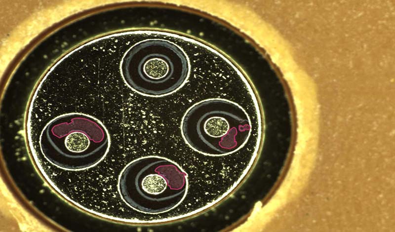 手機攝像頭外觀瑕疵缺陷視覺檢測-機器視覺_視覺檢測設備_3D視覺_缺陷檢測