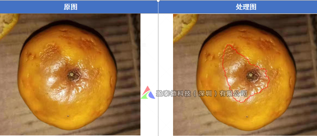 水果自動(dòng)篩選機(jī)（水果不良品機(jī)器視覺(jué)檢測(cè)方案）-機(jī)器視覺(jué)_視覺(jué)檢測(cè)設(shè)備_3D視覺(jué)_缺陷檢測(cè)