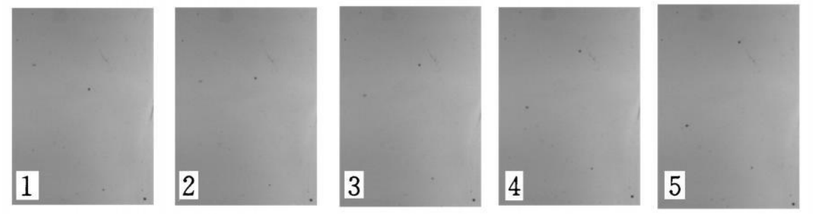 雜質(zhì)檢測（瓶裝白酒雜質(zhì)視覺檢測方案）-機器視覺_視覺檢測設(shè)備_3D視覺_缺陷檢測