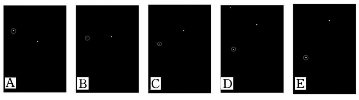 雜質(zhì)檢測（瓶裝白酒雜質(zhì)視覺檢測方案）-機器視覺_視覺檢測設(shè)備_3D視覺_缺陷檢測