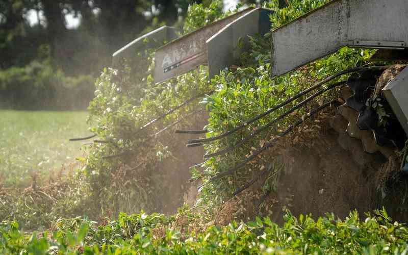 表面瑕疵檢測(cè)的未來(lái)發(fā)展趨勢(shì)是什么