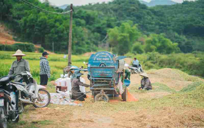 超市果蔬識別的機(jī)器視覺系統(tǒng)設(shè)計(jì);基于機(jī)器視覺的圖像識別技術(shù)