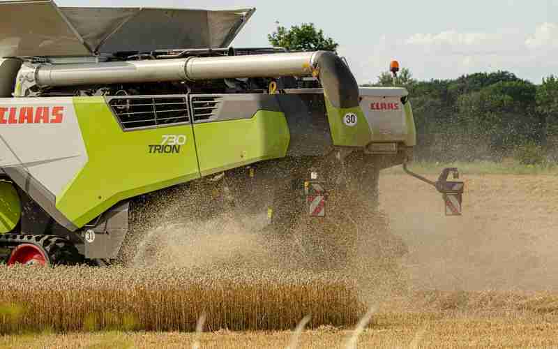 水果缺陷檢測、蔬菜檢測