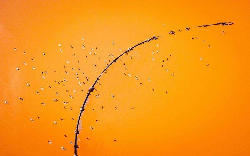 全自動(dòng)外觀(guān)檢測(cè)機(jī)的調(diào)試流程及其對(duì)性能的影響