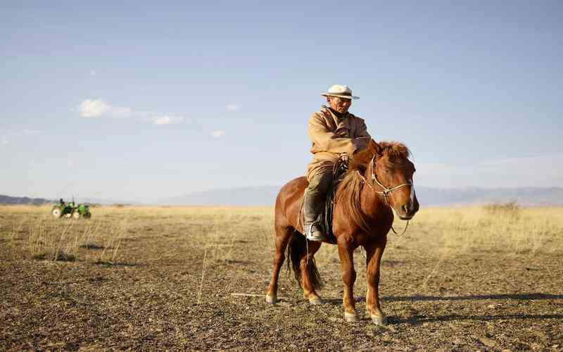 機(jī)器視覺在農(nóng)業(yè)領(lǐng)域的應(yīng)用和效益如何