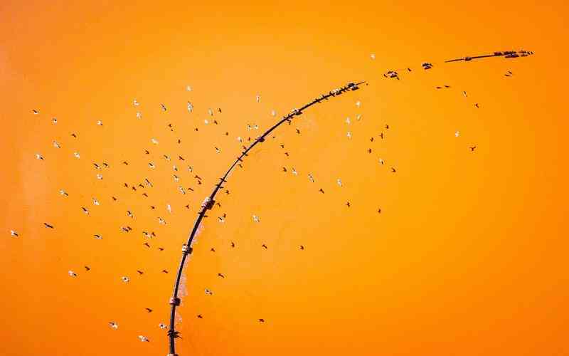 如何優(yōu)化瑕疵檢測儀的閾值以檢測復合材料薄膜