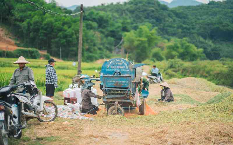 光學(xué)篩選機(jī)的智能控制系統(tǒng)包括哪些組件