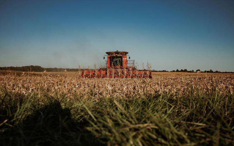 視覺檢測技術在醫(yī)學影像的結構分割中有何應用