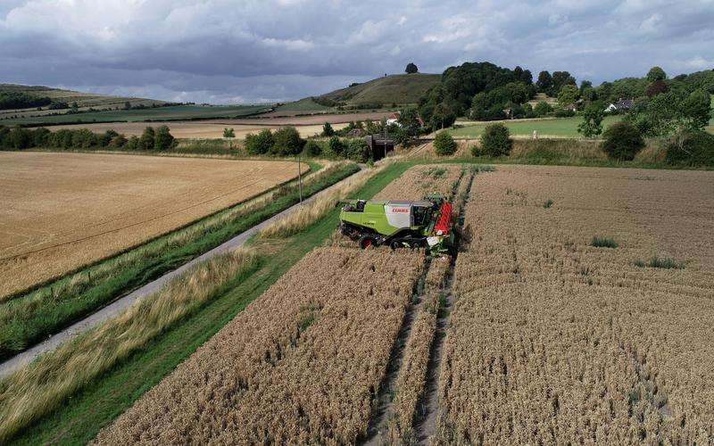 無人駕駛汽車中的機(jī)器視覺如何處理復(fù)雜的道路環(huán)境
