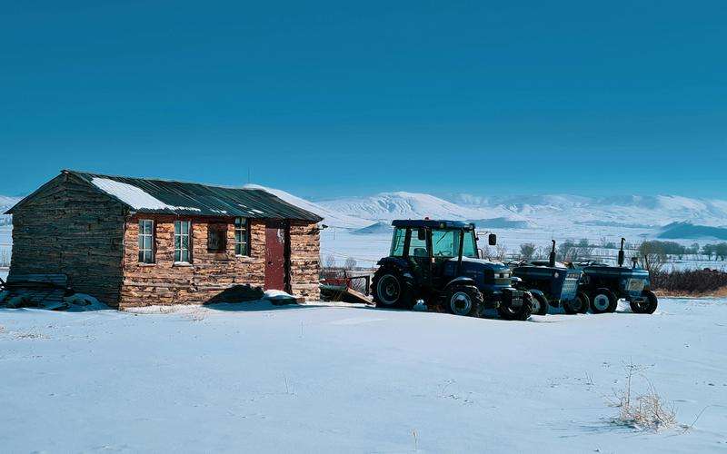 光學篩選機如何識別果蔬的成熟度