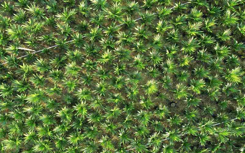 全自動(dòng)品檢機(jī)如何檢測(cè)材料的透明度