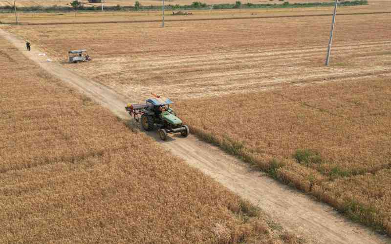 如何設(shè)計(jì)有效的防偽標(biāo)識以便機(jī)器視覺識別