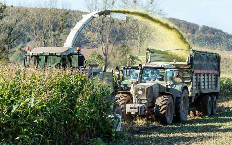 缺陷檢測中的數(shù)據(jù)預(yù)處理步驟是什么