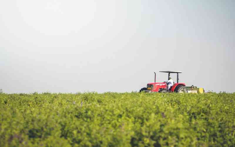 如何進行機器視覺項目的模型評估和調(diào)試