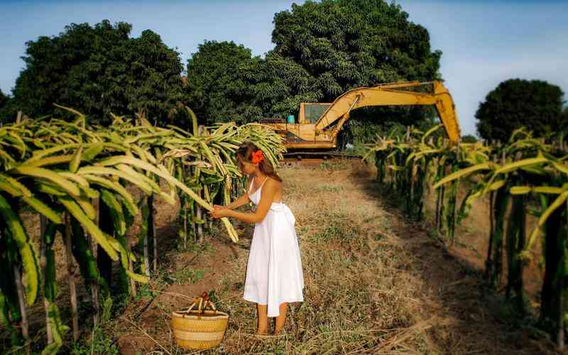 如何通過光流法”改進(jìn)機(jī)器視覺中的運(yùn)動(dòng)檢測(cè)