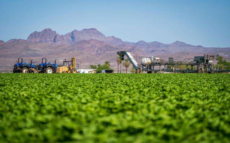 品檢機如何幫助提高食品生產(chǎn)線的效率