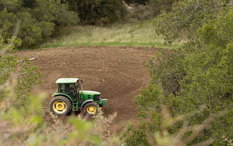 怎樣通過(guò)優(yōu)化算法提高薄膜瑕疵檢測(cè)模型的效率