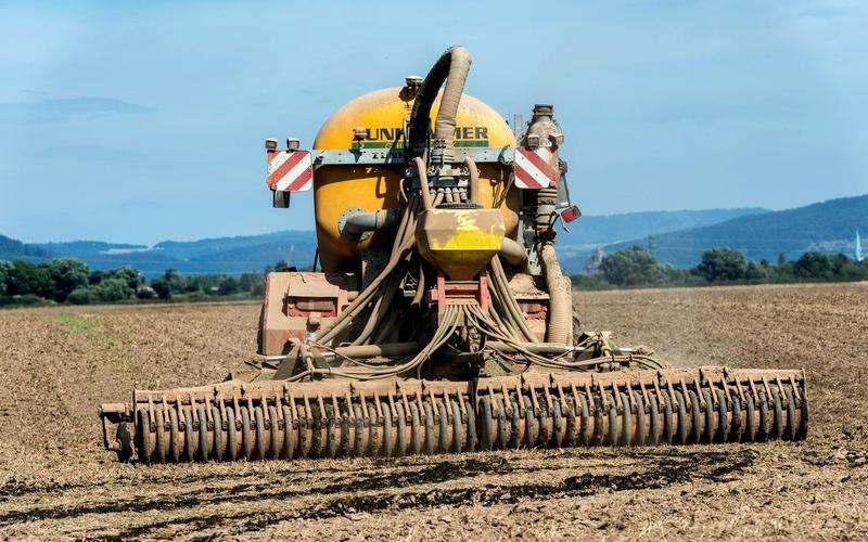 如何通過機(jī)器視覺系統(tǒng)檢測食品的尺寸和形狀