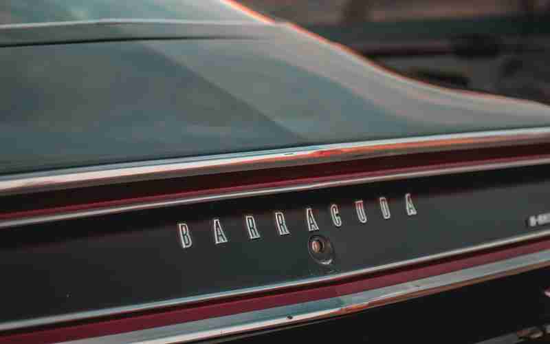 做機(jī)器視覺(jué)的公司要什么人、機(jī)器視覺(jué)的應(yīng)用有哪些