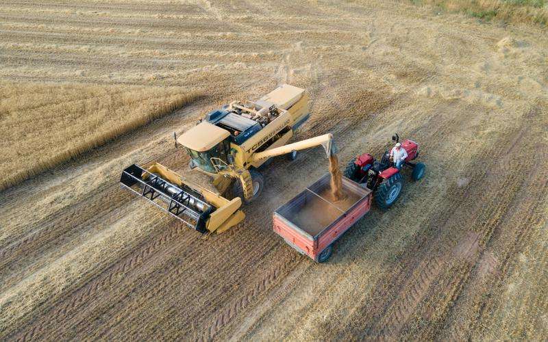 如何用機器視覺技術處理和分析古代紡織品