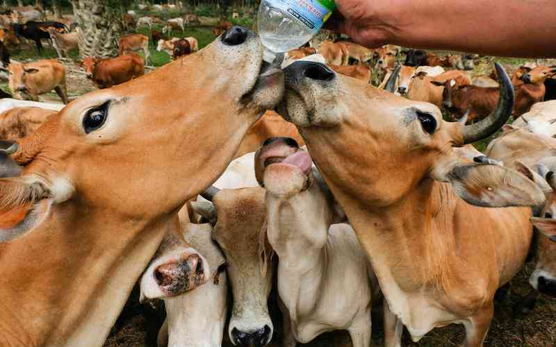 機(jī)器視覺系統(tǒng)如何使用動態(tài)范圍調(diào)整技術(shù)應(yīng)對光照變化