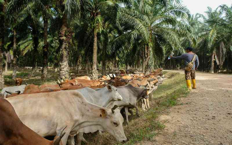 視覺品檢機(jī)的檢測(cè)算法有什么特點(diǎn)