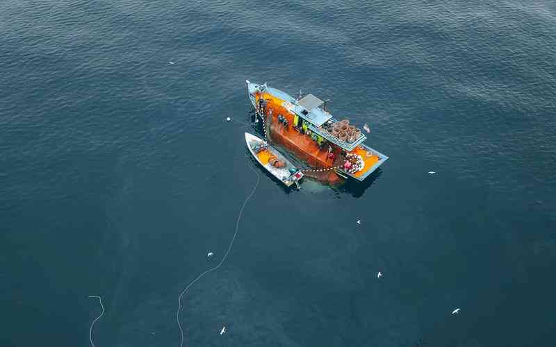 如何評估機器視覺系統(tǒng)的性能