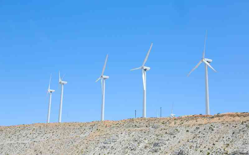 深度學習模型在大規(guī)模視覺檢測中的訓練策略是什么