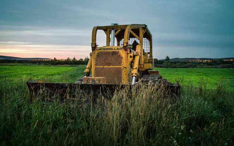 光學篩選機如何應對多種顏色物料的分選需求