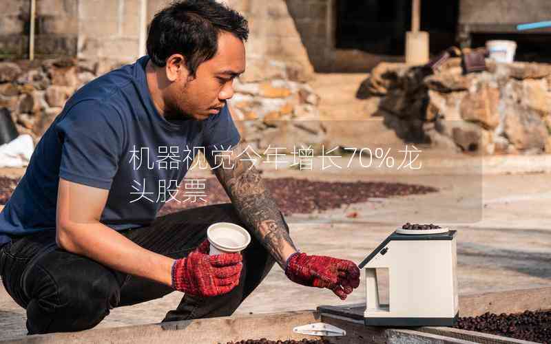 機(jī)器視覺今年增長70%龍頭股票