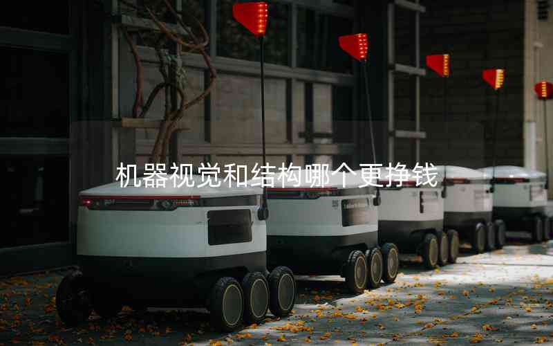機(jī)器視覺(jué)和結(jié)構(gòu)哪個(gè)更掙錢