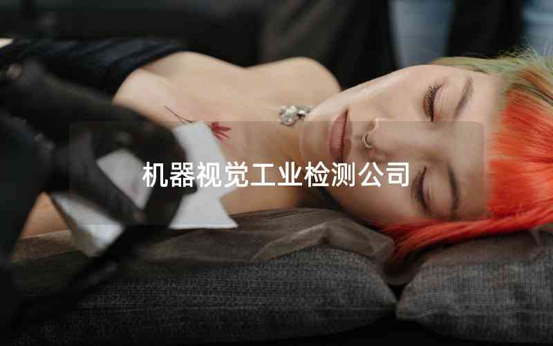 機(jī)器視覺工業(yè)檢測(cè)公司