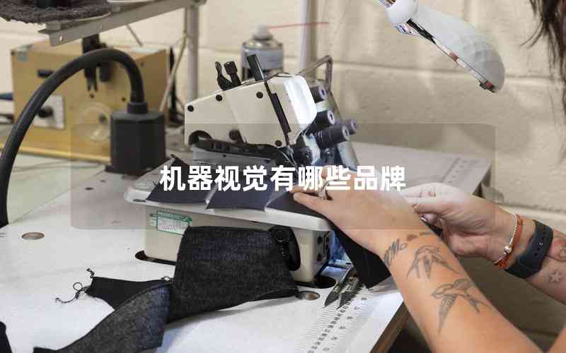 機器視覺有哪些品牌