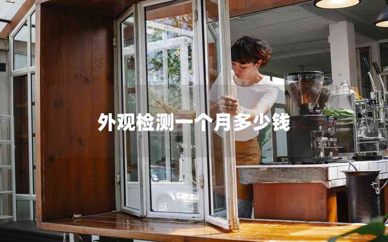 外觀檢測一個月多少錢