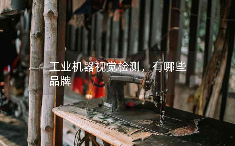 工業(yè)機器視覺檢測，有哪些品牌