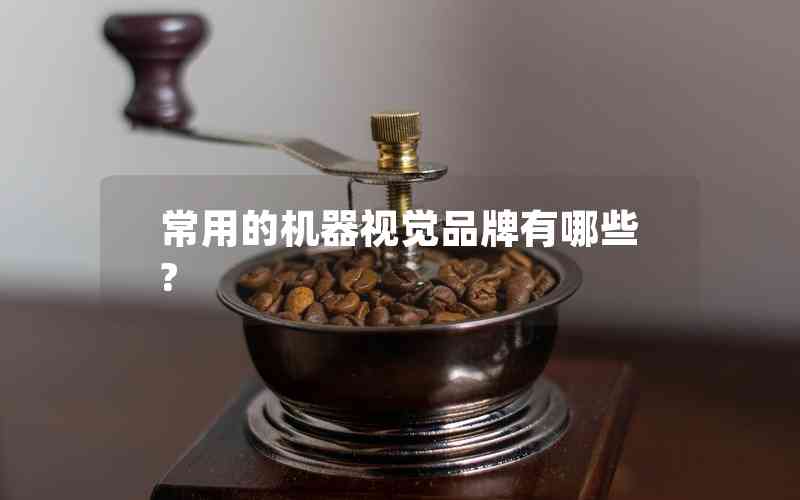 常用的機(jī)器視覺品牌有哪些?