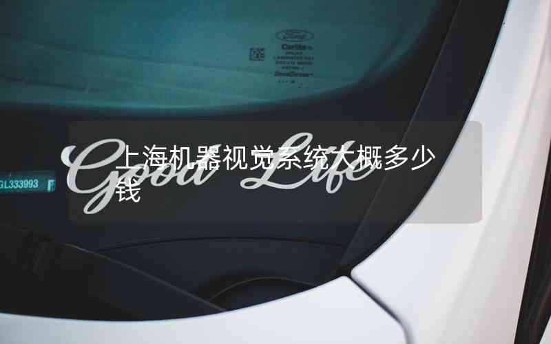 上海機(jī)器視覺(jué)系統(tǒng)大概多少錢