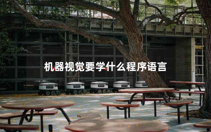 機(jī)器視覺(jué)要學(xué)什么程序語(yǔ)言