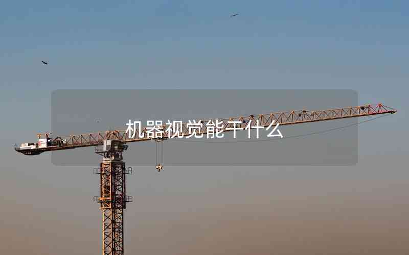 機(jī)器視覺能干什么